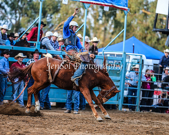 TumutRodeo2014_3980