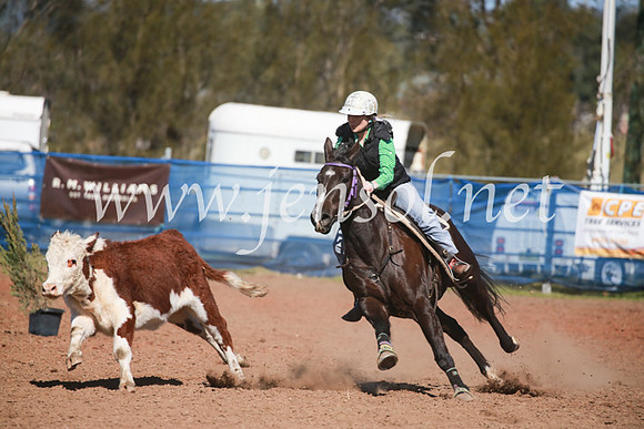 CCCampdraft2016_5737