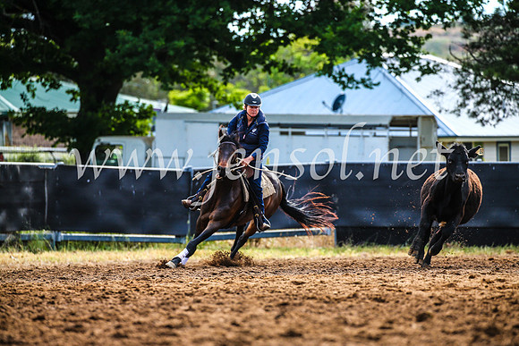 OrangeCampdraft2017_3882
