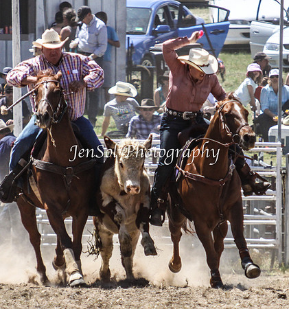 Bungendore2011_0892
