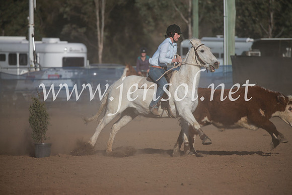 CCCampdraft2016_6533