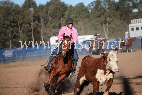 CCCampdraft2016_6567