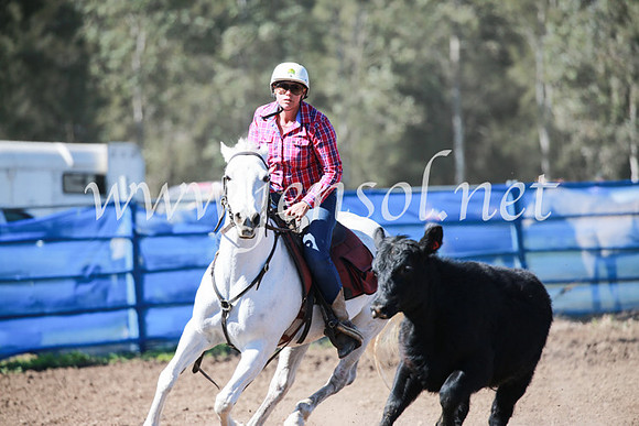 CCCampdraft2016_5788