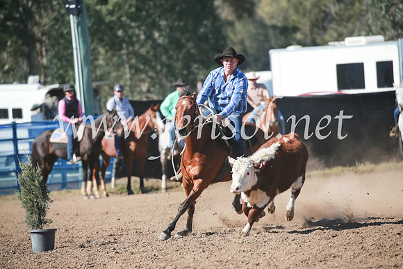 CCCampdraft2016_5479