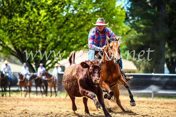 OrangeCampdraft2017_4793