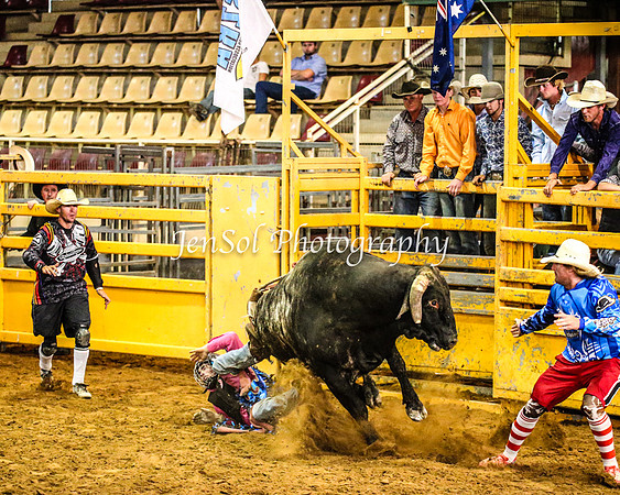 RealDealRodeoFeb2014_0455