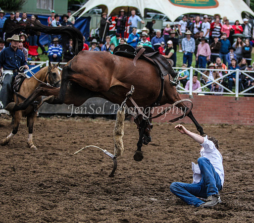 Cooma2_0082