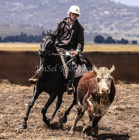 AdamSat_0116