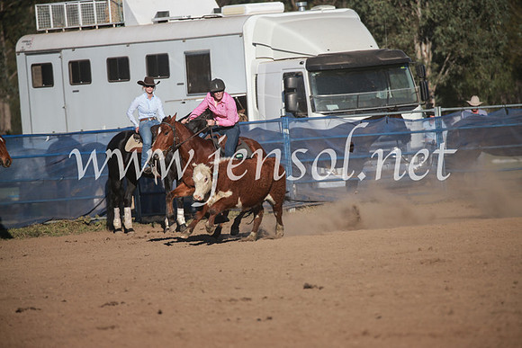 CCCampdraft2016_6591