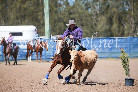 CCCampdraft2016_5877