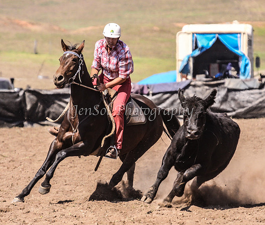 IMG_0362CabSat