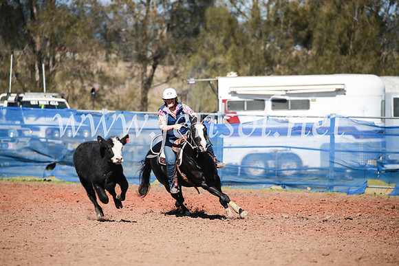 CCCampdraft2016_5411