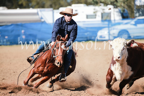 CCCampdraft2016_5427