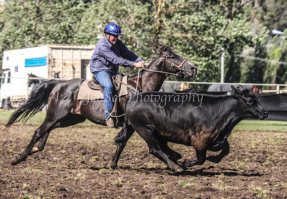NimmitabelSat_0313