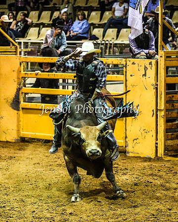RealDealRodeoFeb2014_1249