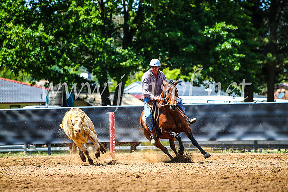 OrangeCampdraft2017_4612