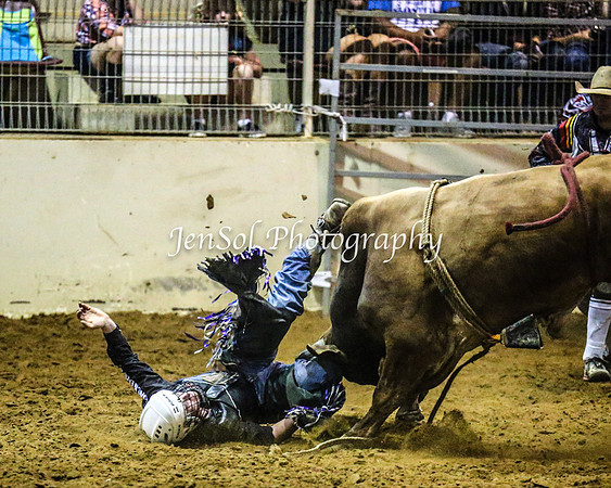 RealDealRodeoFeb2014_0948