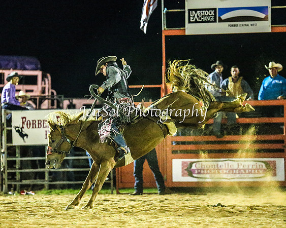 ForbesRodeo2014_3723