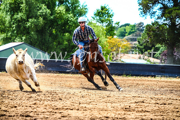 OrangeCampdraft2017_4752