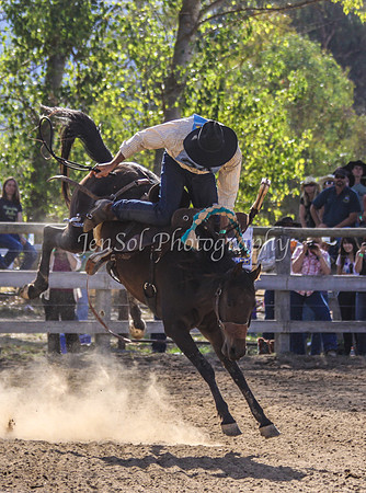 Corryong09 346