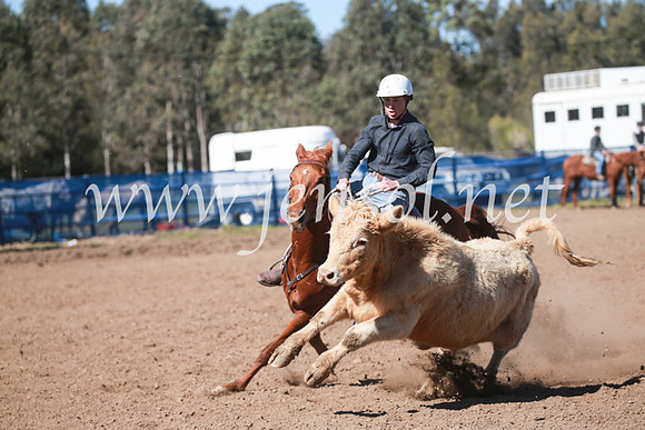 CCCampdraft2016_6081