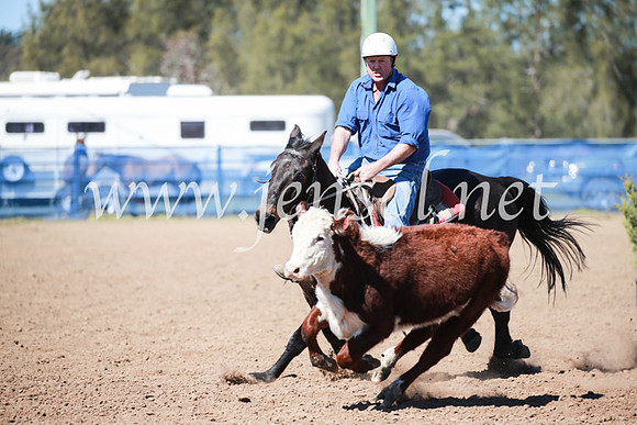 CCCampdraft2016_5772