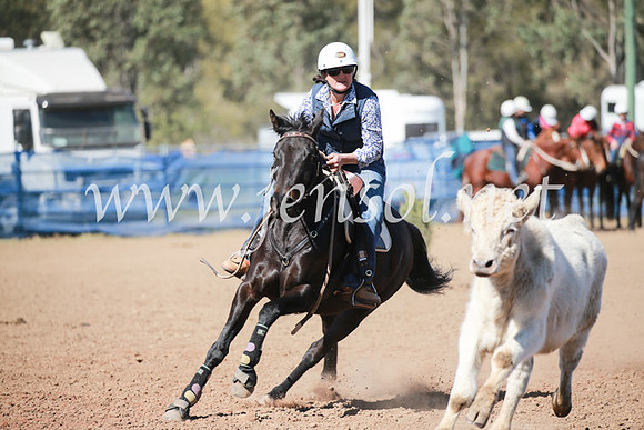 CCCampdraft2016_6066