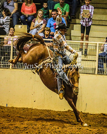 RealDealRodeoFeb2014_1904