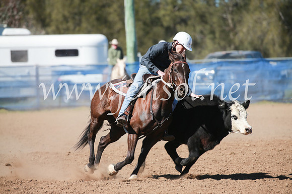 CCCampdraft2016_5623