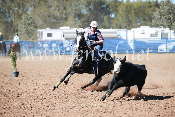 CCCampdraft2016_5399