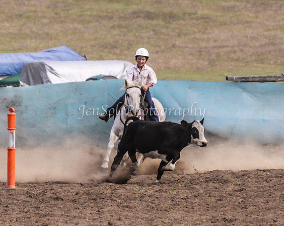 IMG_0811CabSat