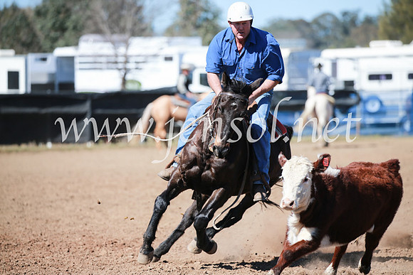 CCCampdraft2016_5779