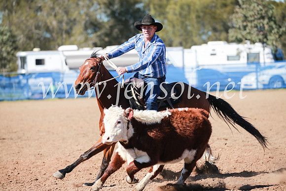 CCCampdraft2016_5457