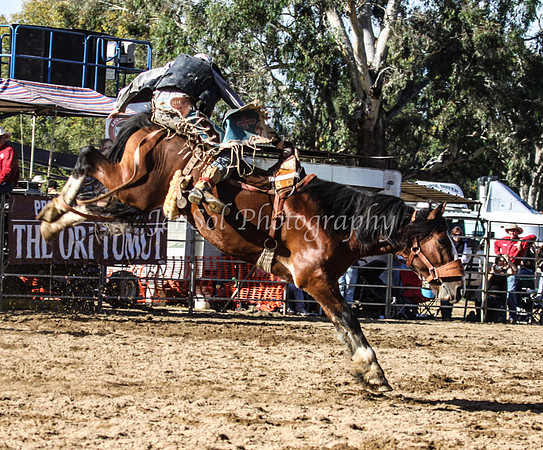 Tumut2_0169