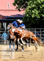 TumbarumbaRodeoNYD2025_0709