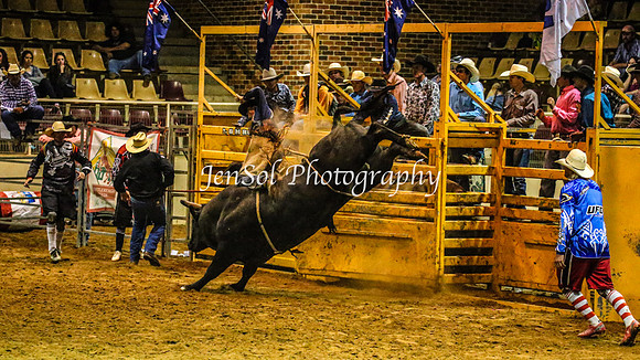 RealDealRodeoFeb2014_2071