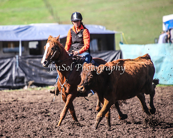 CabanandraCampdraft2014_1047
