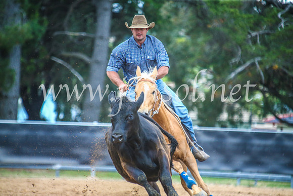 OrangeCampdraft2017_5750