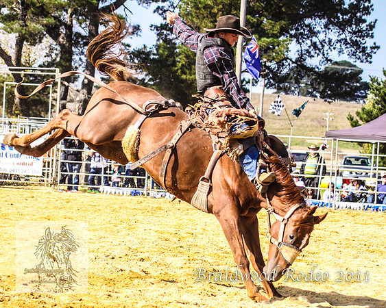 Braidwood1_0446