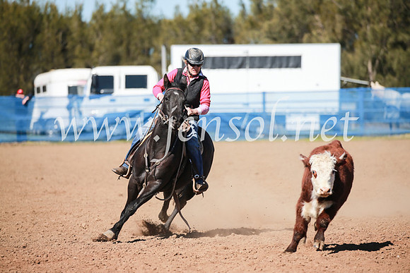 CCCampdraft2016_5589