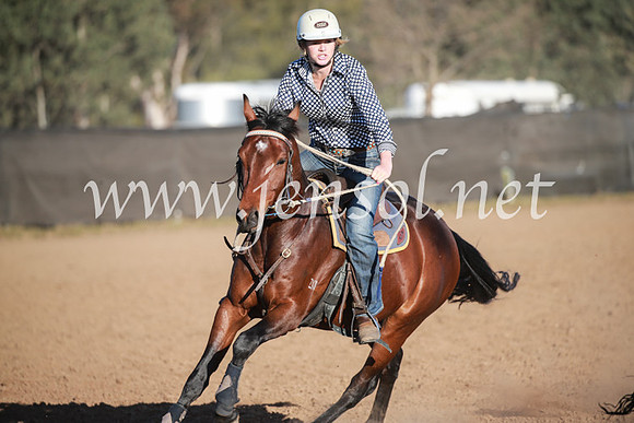 CCCampdraft2016_6707