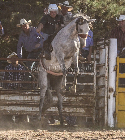 Taralga1_1144