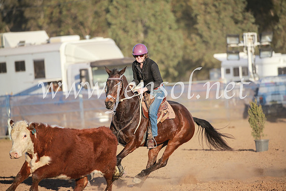 CCCampdraft2016_6874