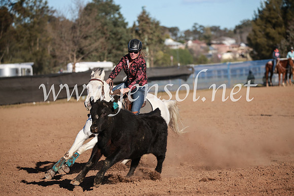CCCampdraft2016_6550