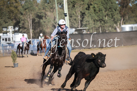 CCCampdraft2016_6635