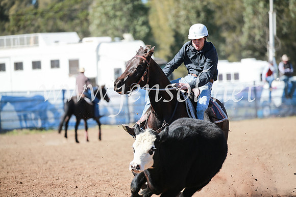 CCCampdraft2016_5617