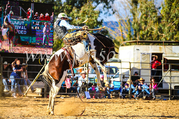 TumutRodeo2017_2547