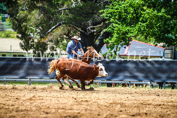 OrangeCampdraft2017_4729
