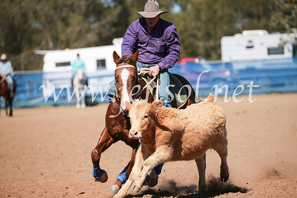 CCCampdraft2016_5870