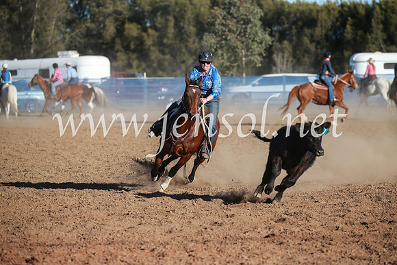 CCCampdraft2016_6627